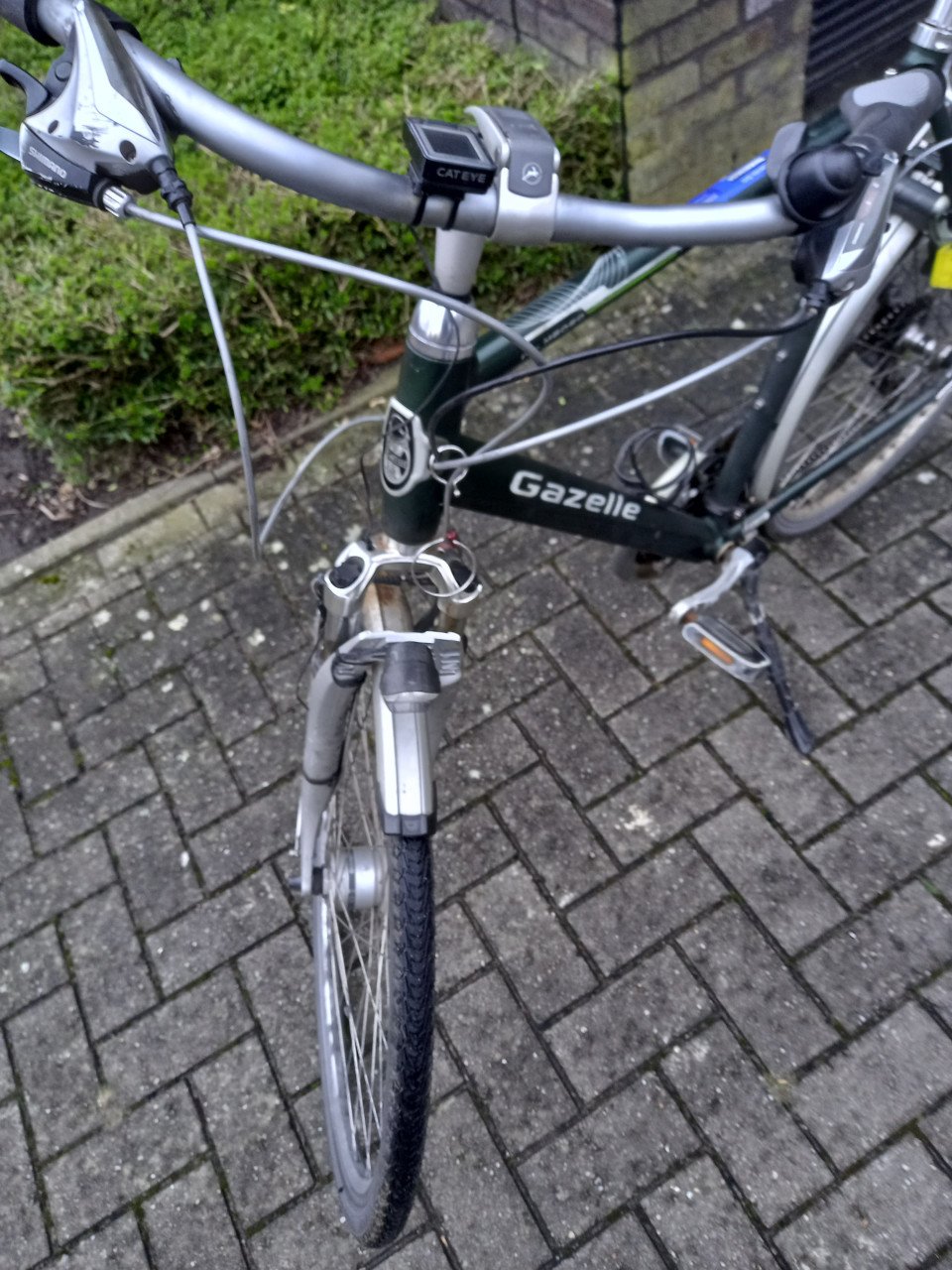 GAZELLE HERENFIETS