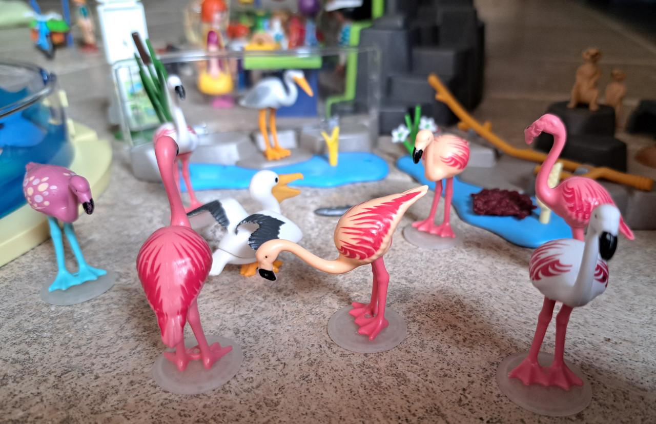 Playmobil dierenpark | dierentuin (My Life) + extra dieren