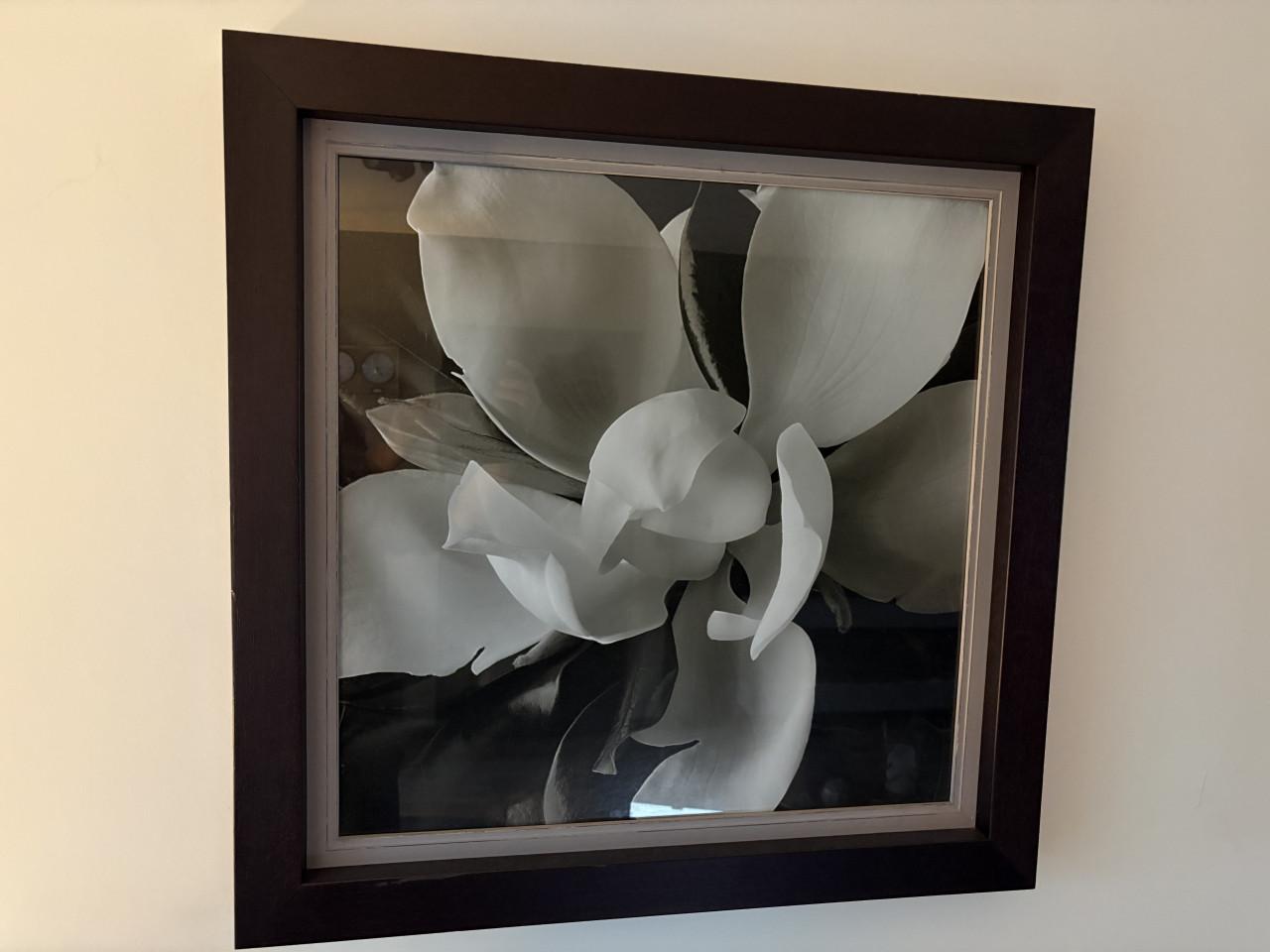 Schilderijen Magnolia bloem