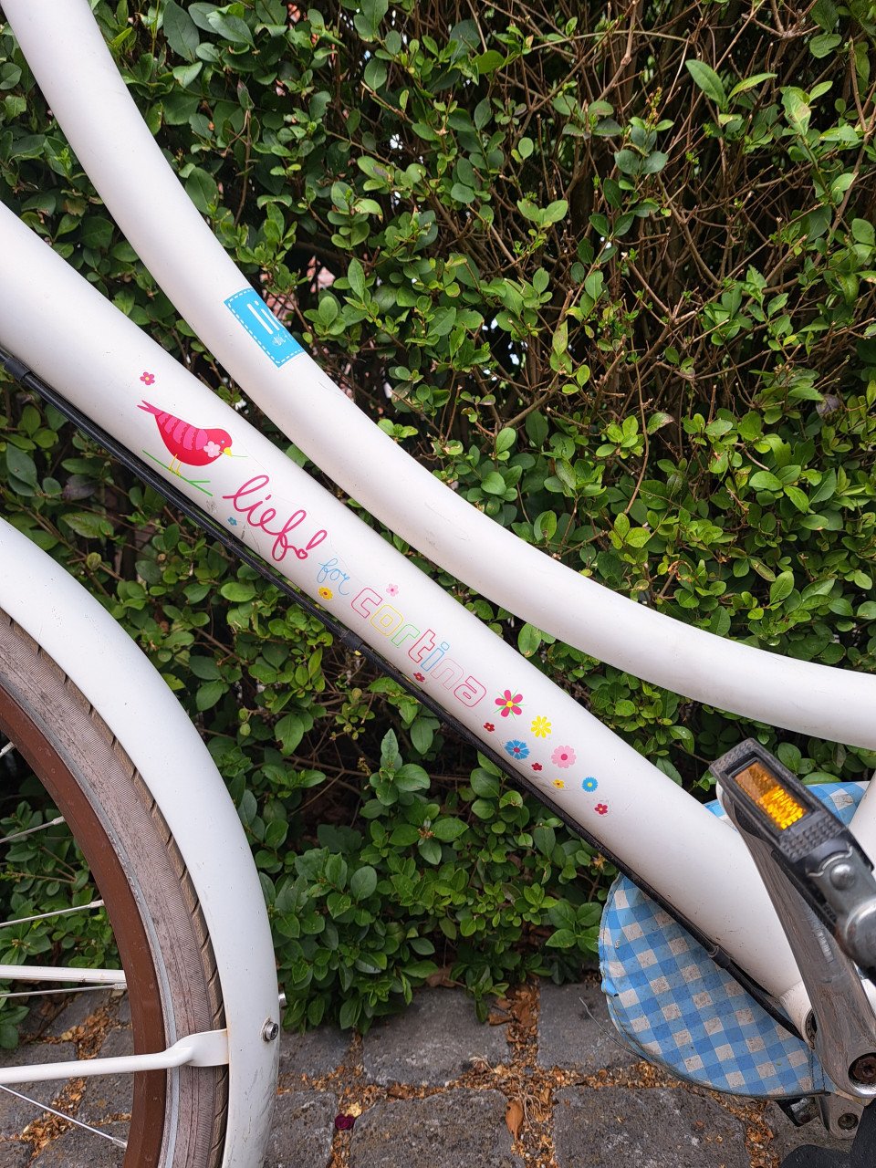Cortina lief moederfiets