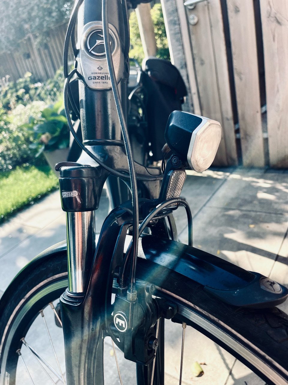 Gazelle electrische Damesfiets Chamonix