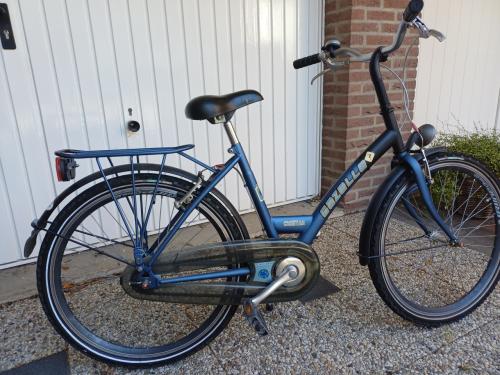 Leuke meisjesfiets Gazelle Cheetah 22 inch