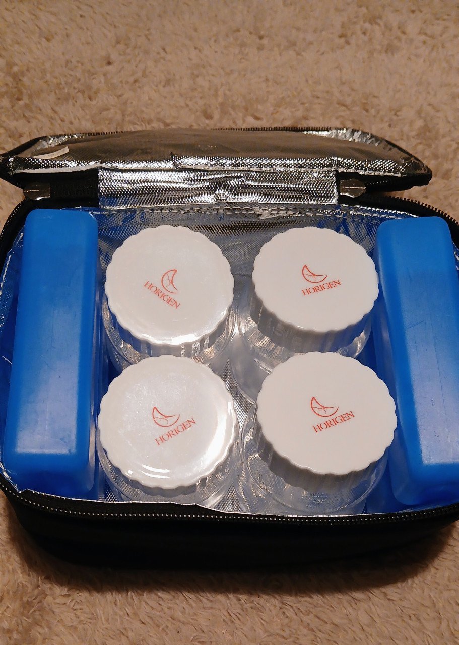 Horigen fubbelzijdige borstkolf ELODY incl. Mommybag