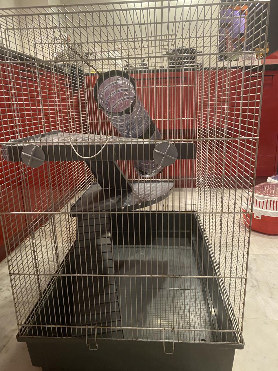 Te koop: Rattenkooi (ferplast Jenna) inclusief accessoires