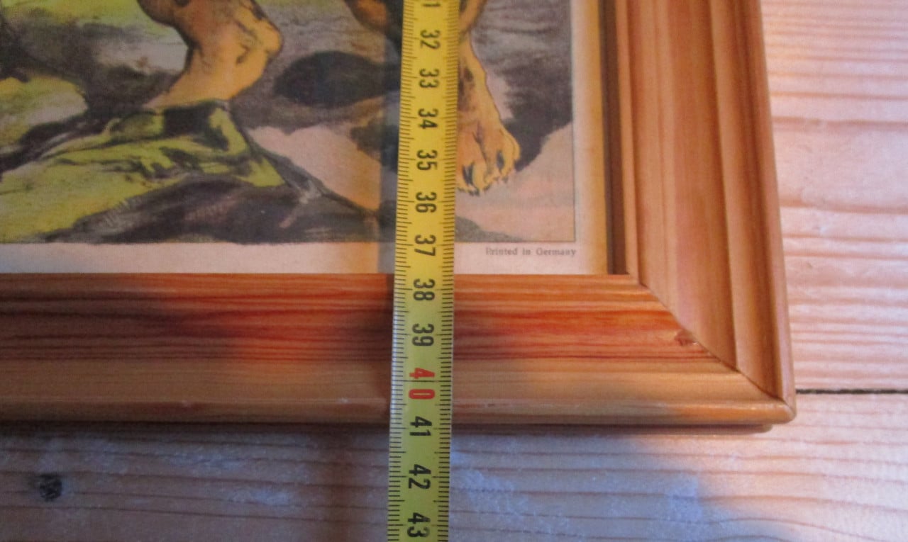 Lijst met leeuwen oude schoolprent achter glas afm:47x41cm.