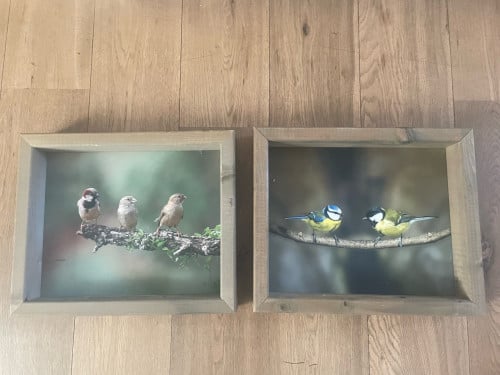 Vogelvoerlijsten