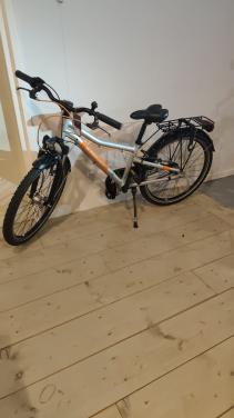 Batavus Booster