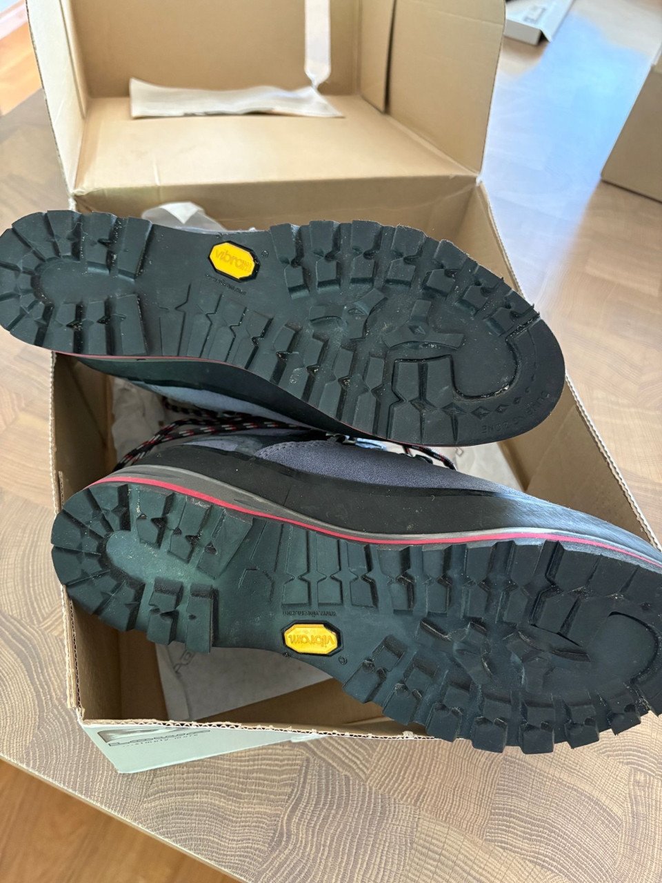 Lowa Mountain Expert GTX bergschoenen