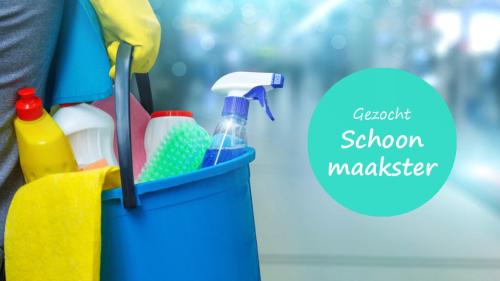 Voor ons gezin in Goes zijn wij op zoek naar een betrouwbare schoonmaakster