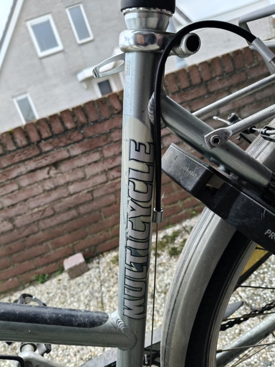 Multicycle damesfiets