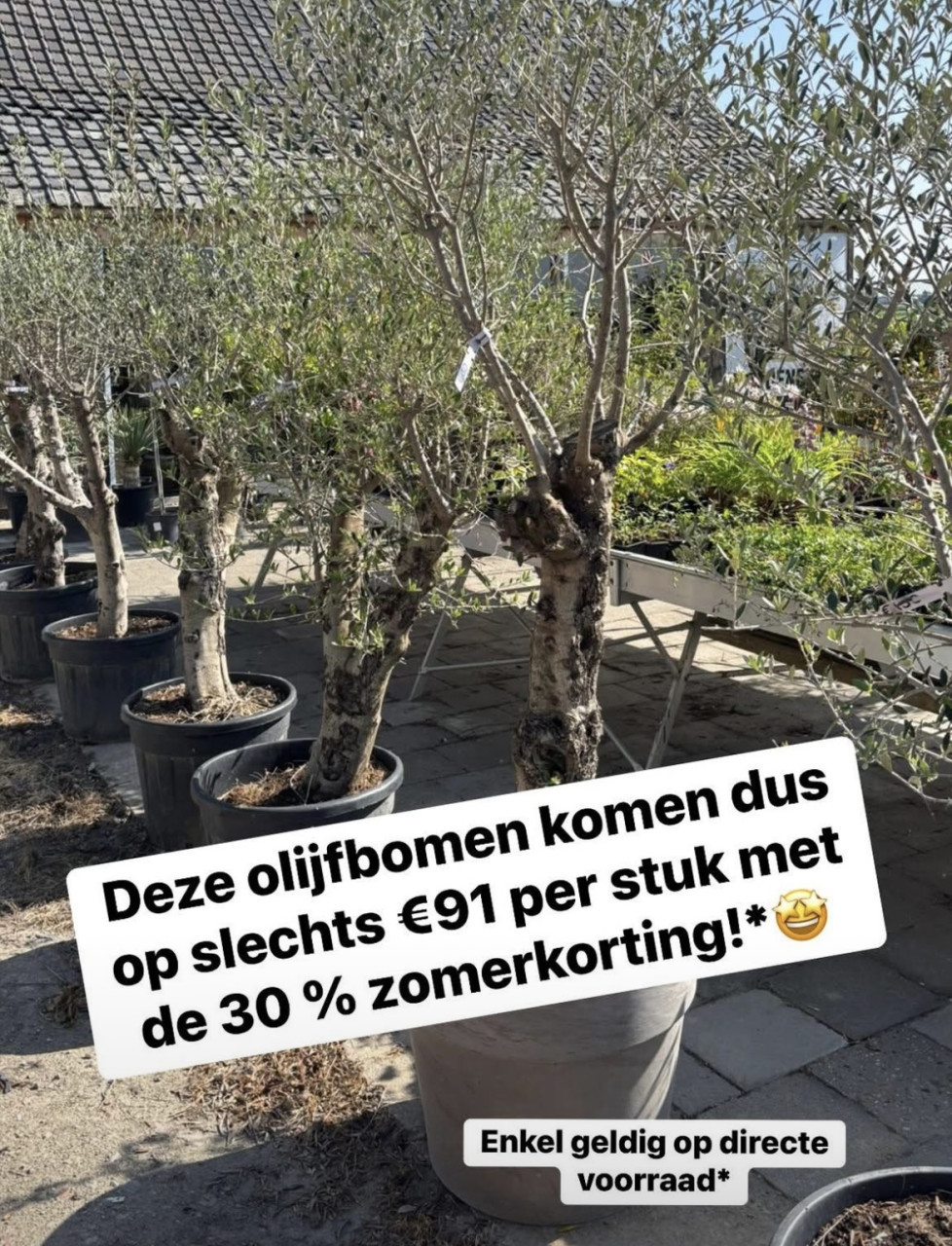AANGEPASTE OPENINGSTIJDEN + zomerkorting -30 %