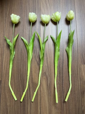 Neptulpen wit open