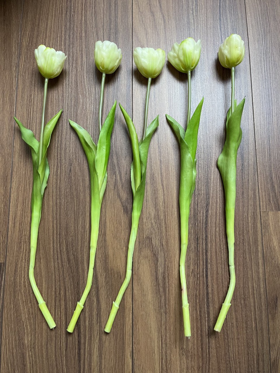 Neptulpen wit open