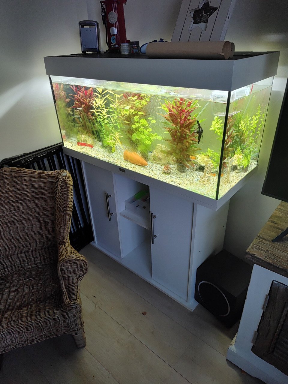 Jewel rio 180