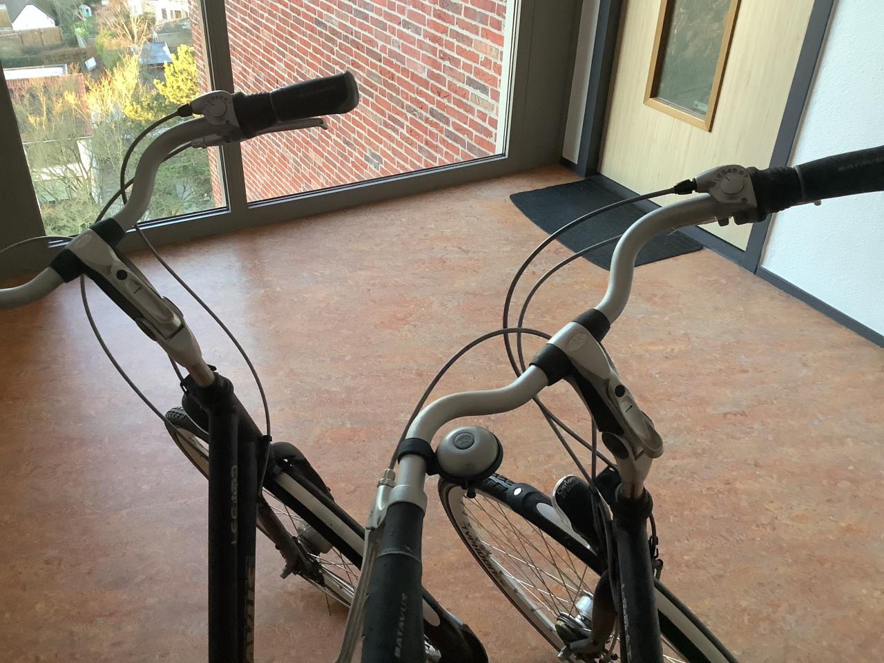 Set Batavus Legato fietsen