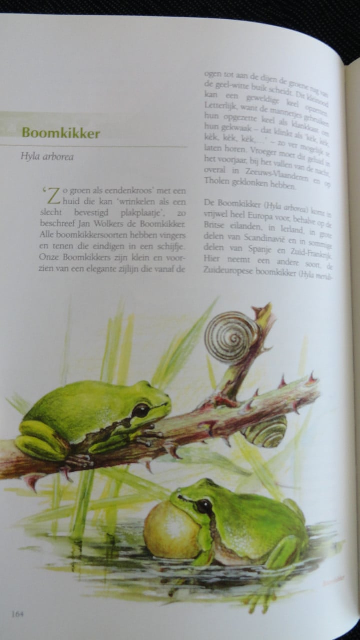 Zeldzaam Zeeuws -Chiel Jacobusse / M.A. Hemminga- BOEK IS NIEUW