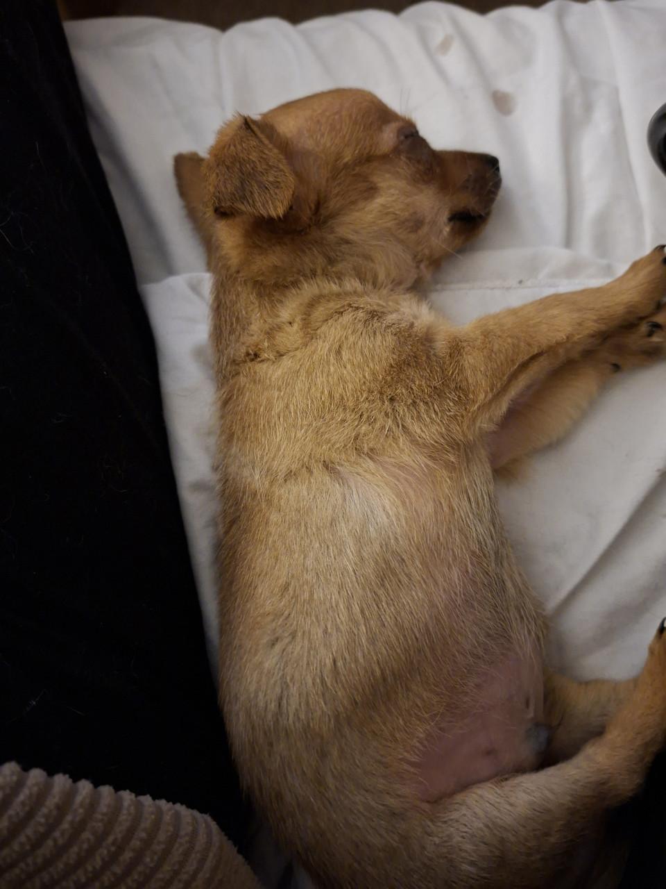 Chiawa reutje geboren 18 september