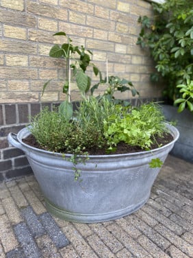 Planten + bak