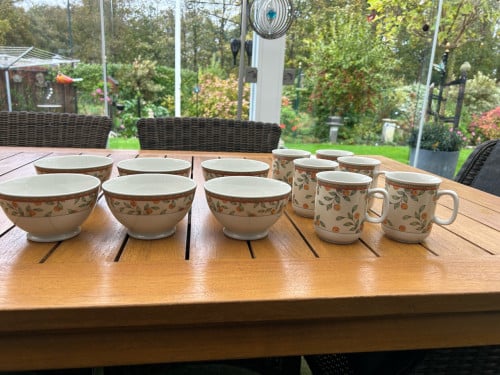 6 SCHAALTJES PLUS 6 BEKERS