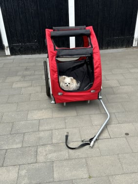 Fietskar voor de hond(en)