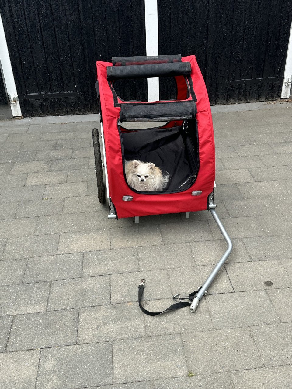 Fietskar voor de hond(en)