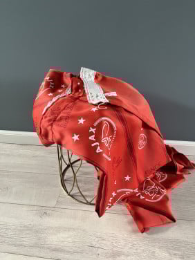 Ajax gordijnen 2 stuks