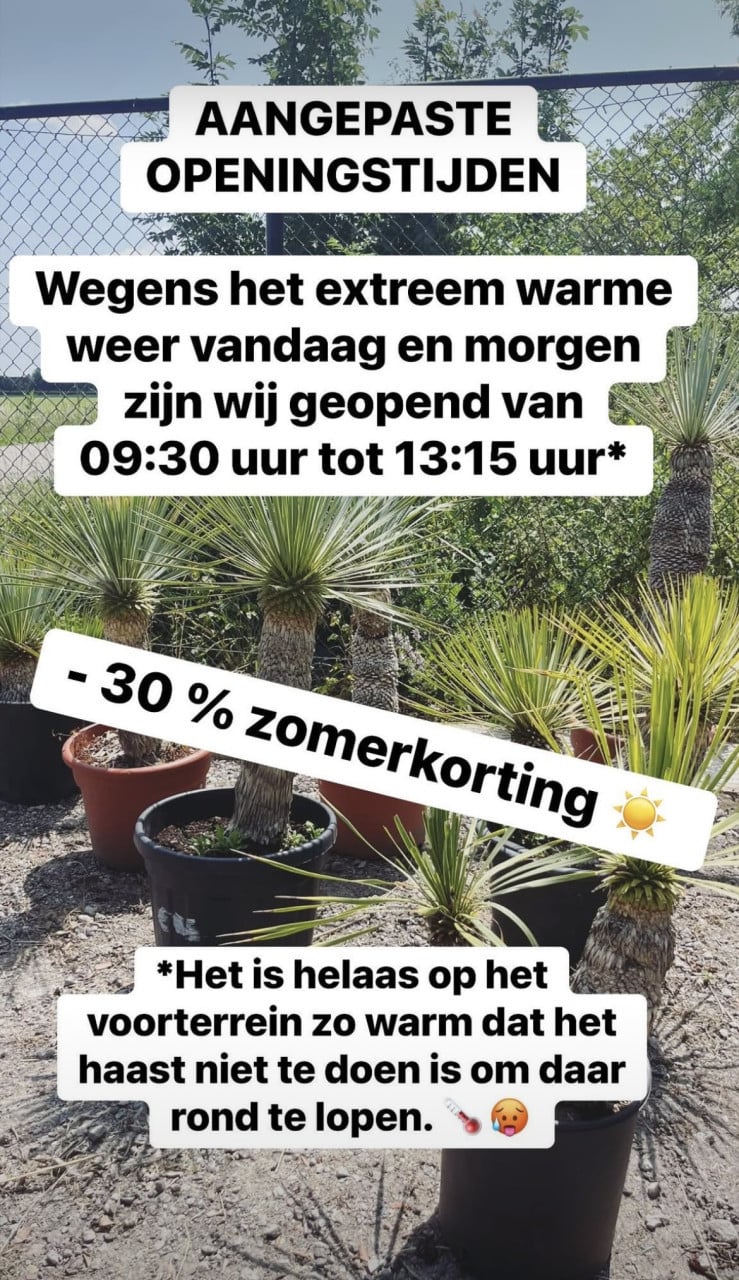 AANGEPASTE OPENINGSTIJDEN + zomerkorting -30 %
