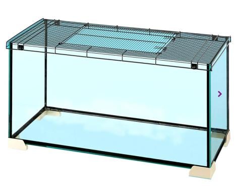 Knaagdieren verblijf