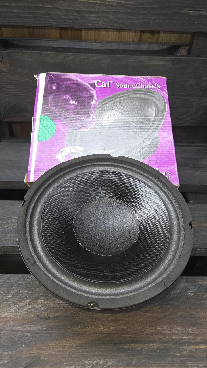 Auto speakers