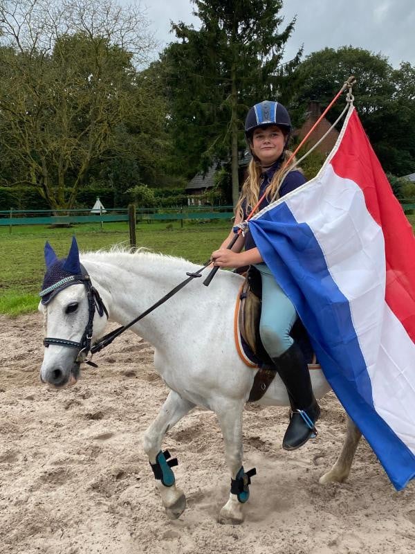 Lieve welsh-B pony