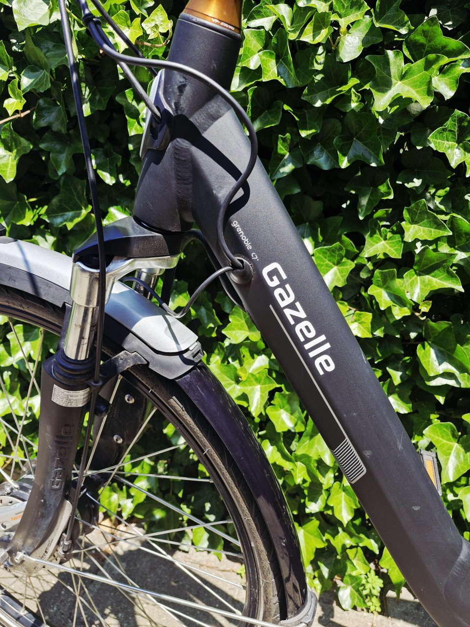 Gazelle Grenoble C7+ HFP
