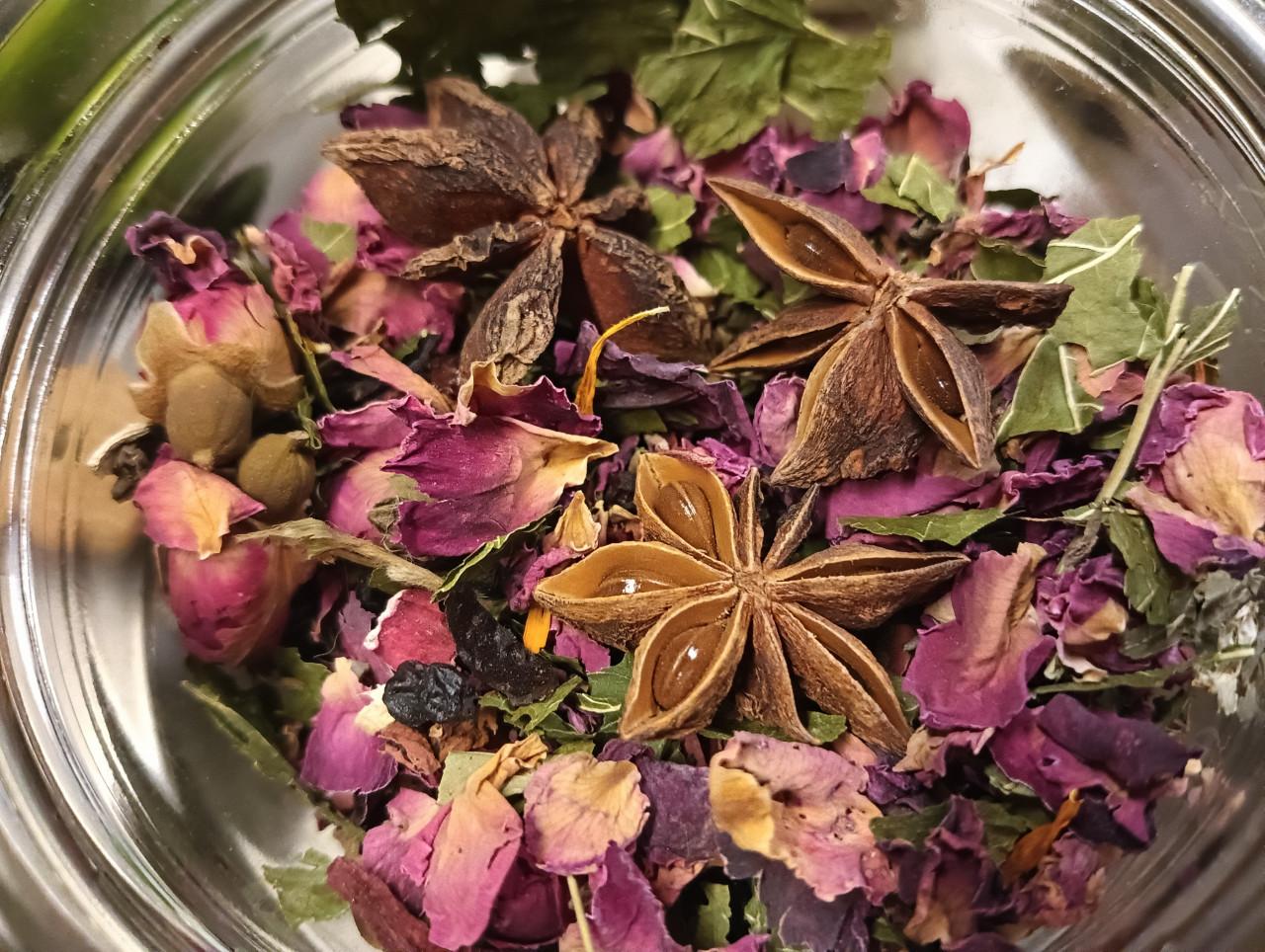 Wildplukwinterwandeling