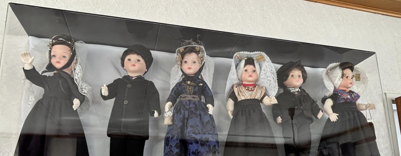 COLLECTIE BOERENPOPPEN