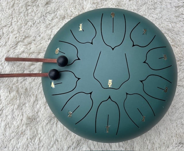 Tonque als carry on met draagtas.