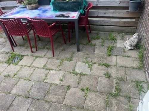 Tuinman nodig? Beschikbaar!!