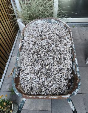 Witte kiezels