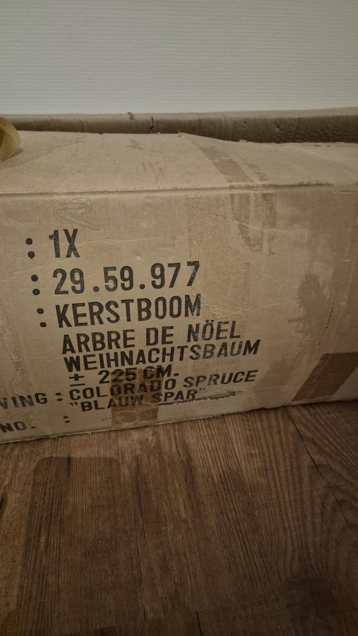 Mooie kunstkerstboom (zilverspar)