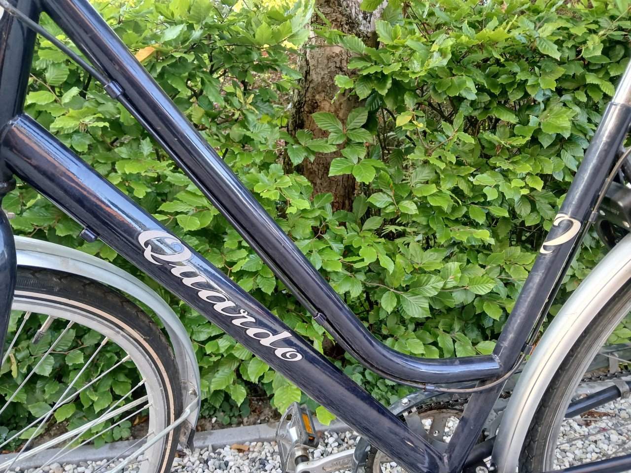 Damesfiets merk Quardo
