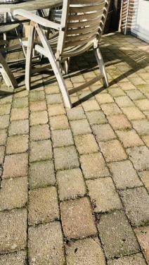 Terras bestrating