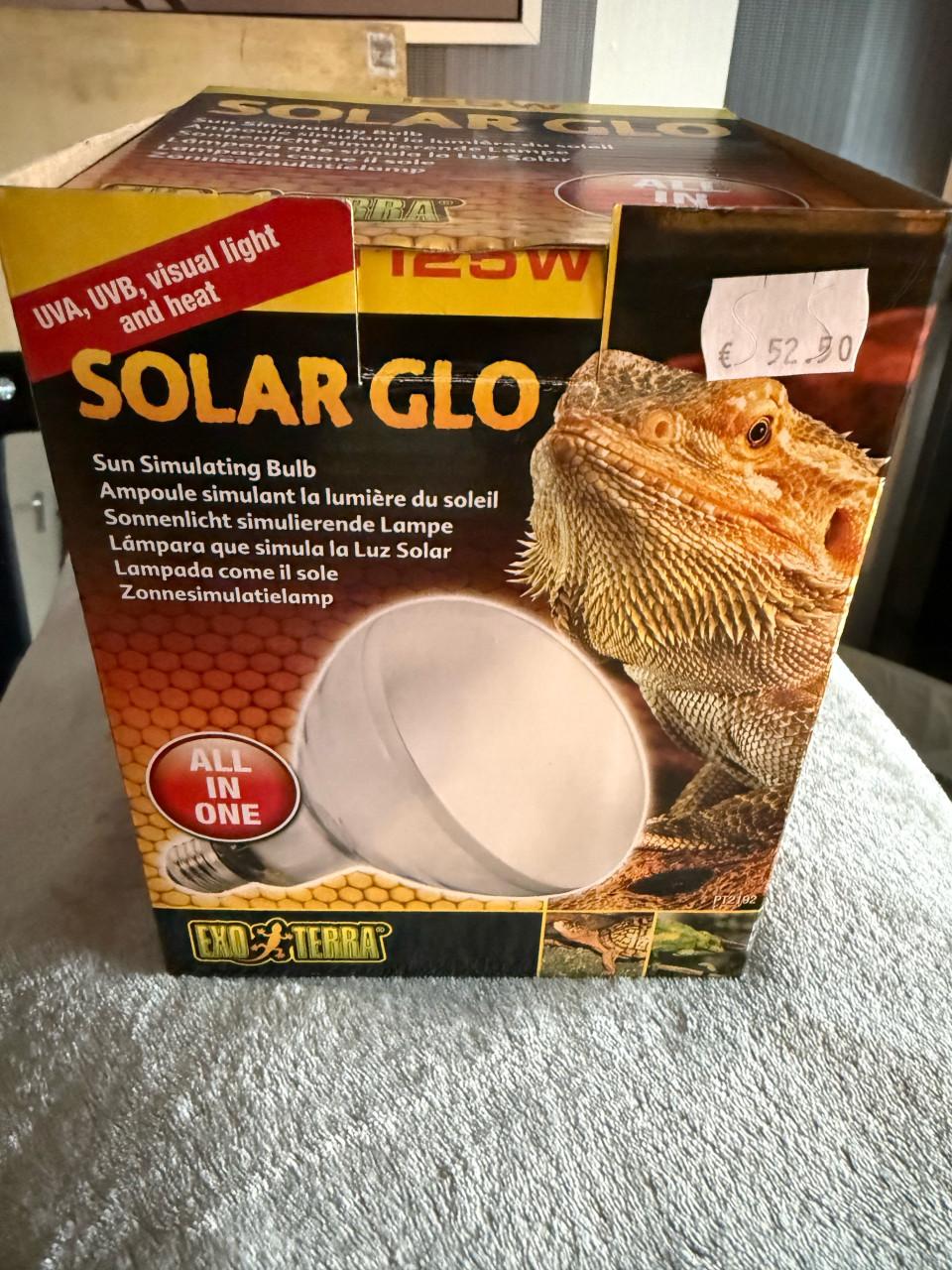 Warmte lamp terrarium