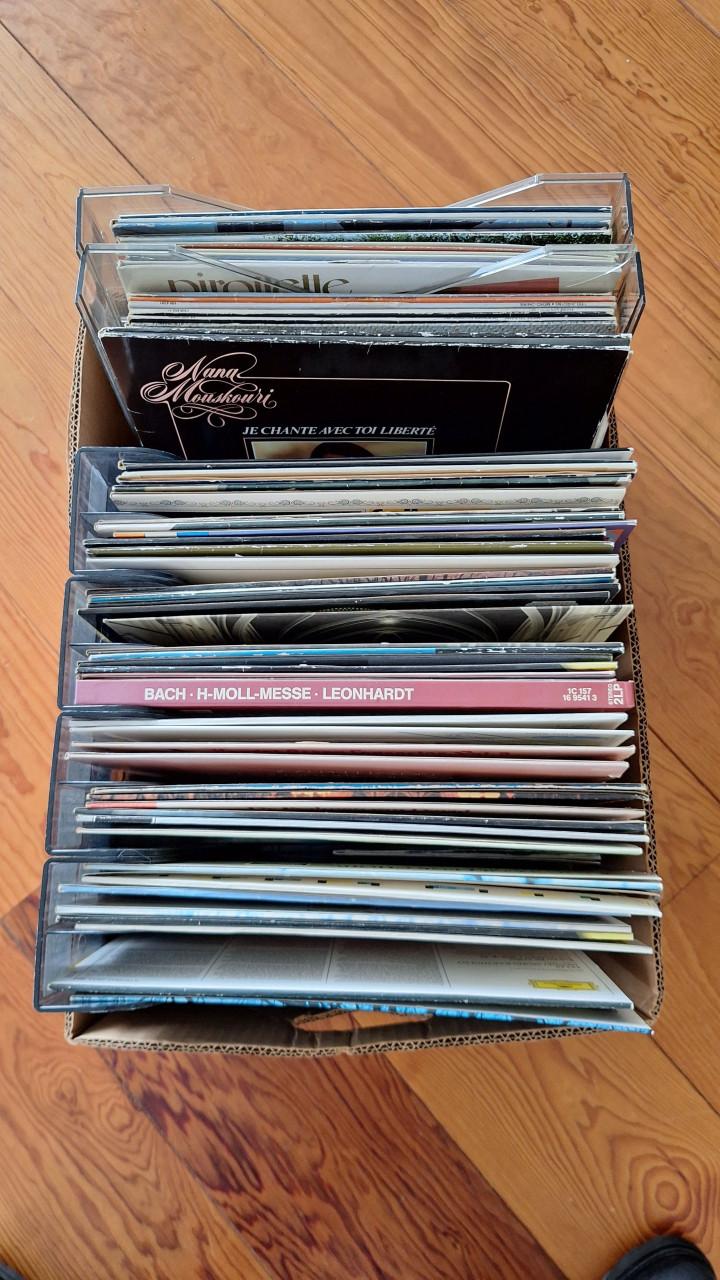 Groot aantal LP's diverse stijlen