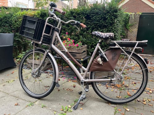 Elektronische Fiets
