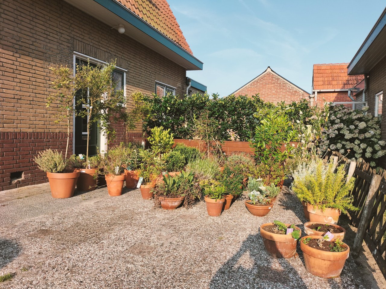 45 terracotta potten met planten en bomen - complete tuin