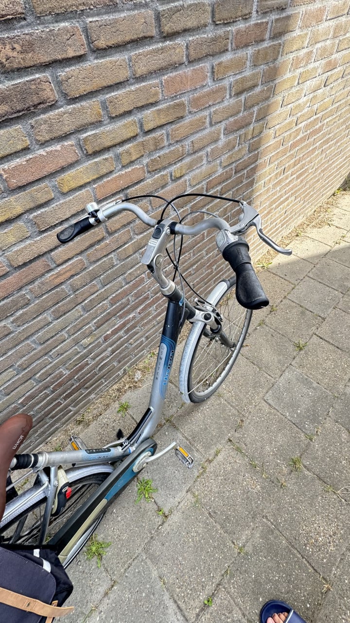 Dames fiets