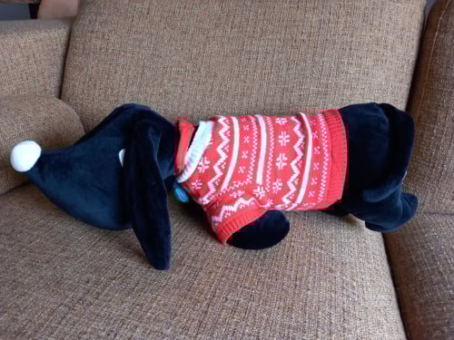 Takkie met kersttrui