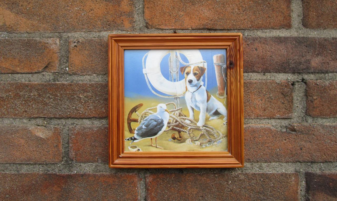 Prentje met hond en zeemeeuw