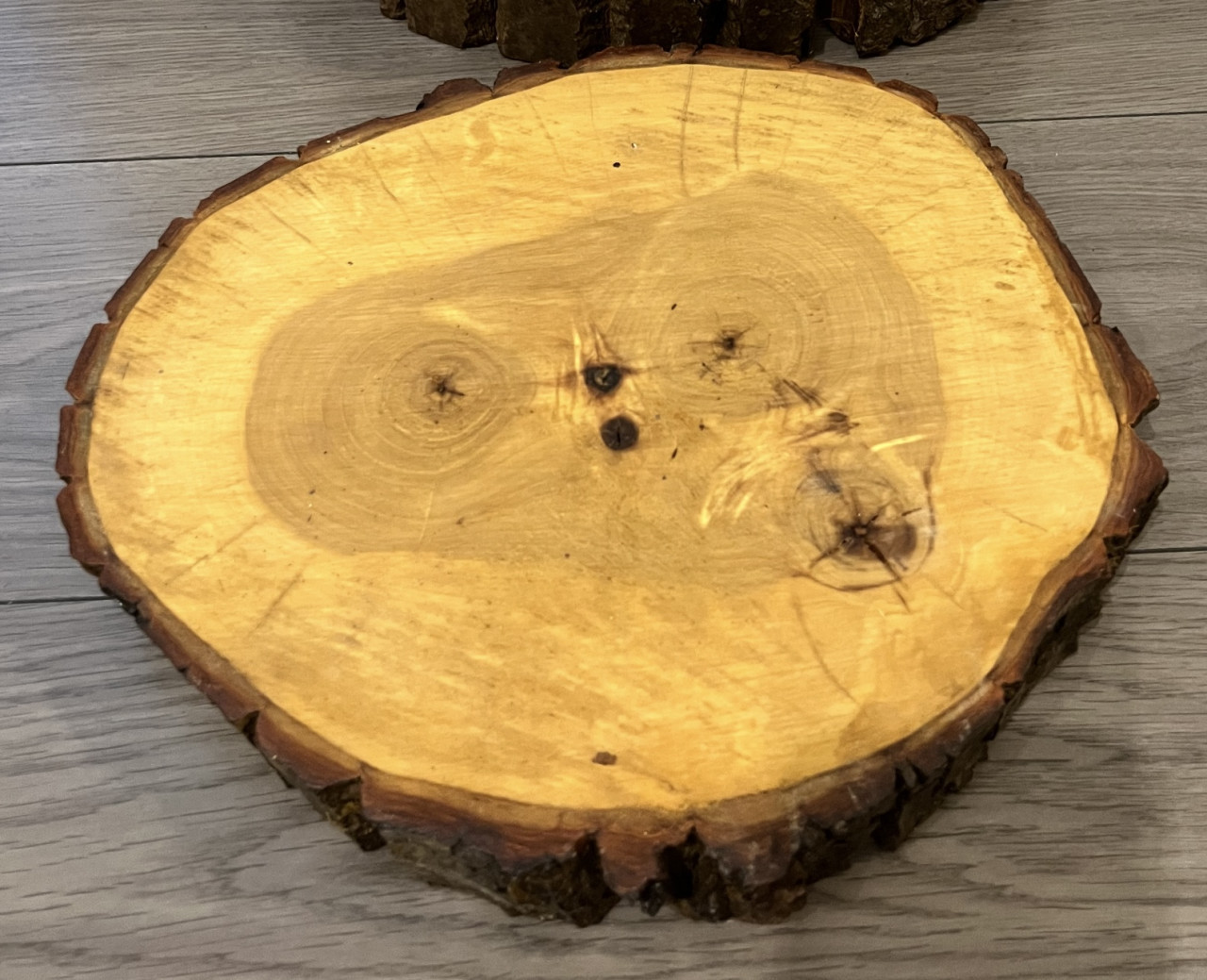 Boomstamschijf 34 cm 2 stuks