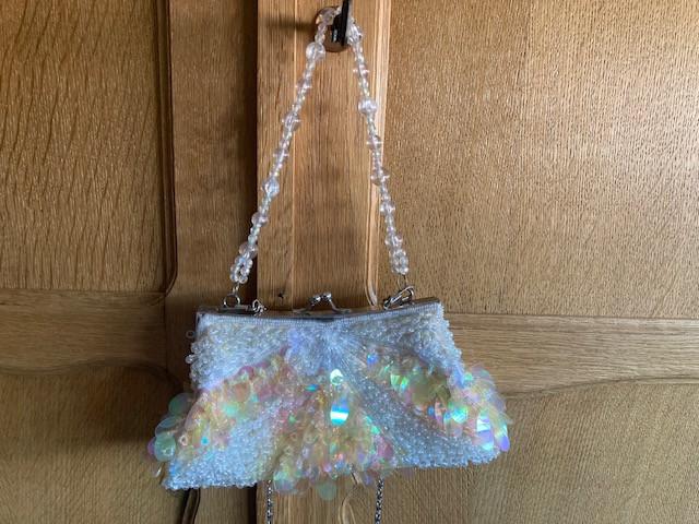 Bijzonder Soiree-tasje