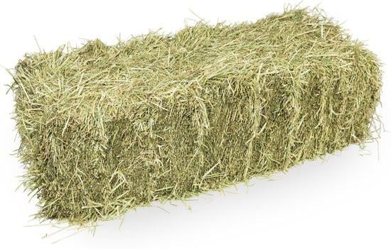 Kleine pakjes weide hooi te koop, prima kwaliteit, oogst 2026