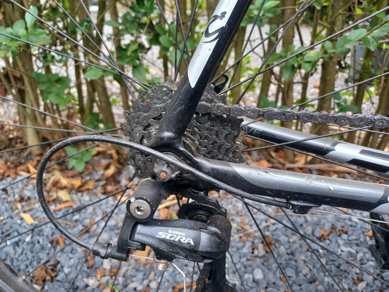 Cannondale Caad 8